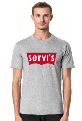 Servis GW 1