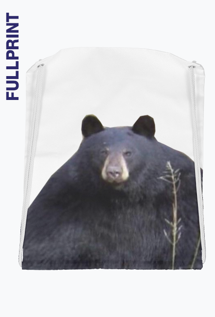 gruby niedzwiedz