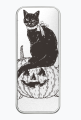 piórnik aluminiowy