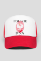 POLSKIE DNA