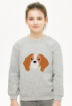 Cavalier_blenheim