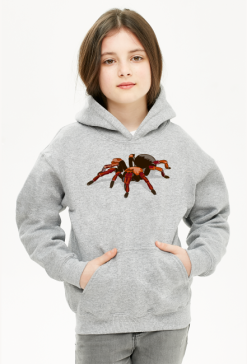 Spider #1