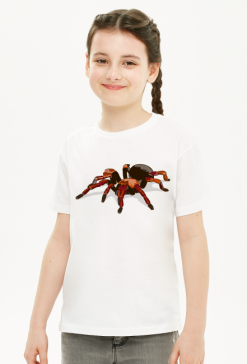 Spider #1
