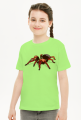 Spider #1