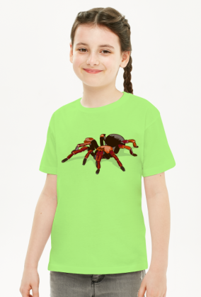 Spider #1