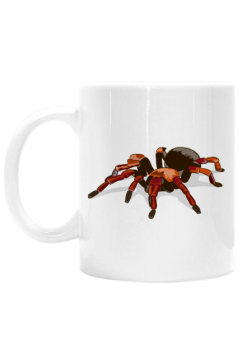 Spider #1