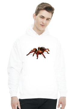Spider #1
