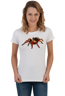 Spider #1