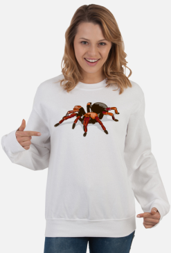 Spider #1