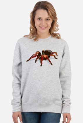 Spider #1