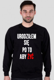 Bluza męska