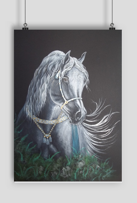 Plakat Poster z koniem arabskim - Pearl Grey Arabian Horse " © DH