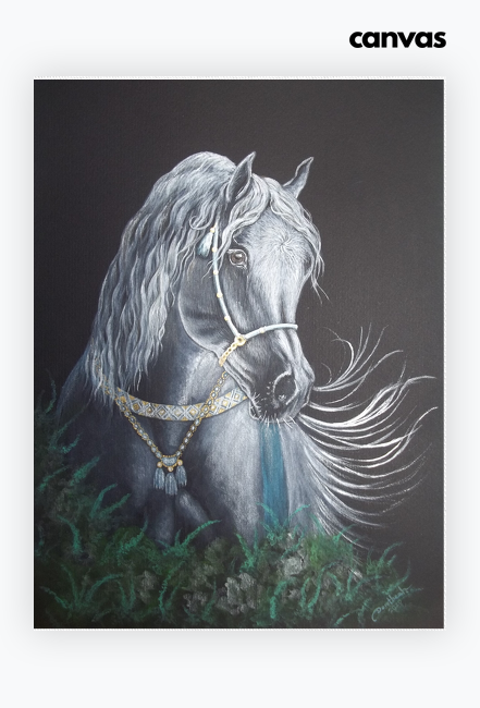 PŁÓTNO CANVAS Z KONIEM ARABSKIM - Pearl Grey Arabian Horse " © DH