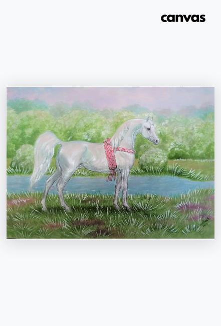 PŁÓTNO CANVAS Z KONIEM ARABSKIM "Nilay - Grey Arabian Horse" ©DH
