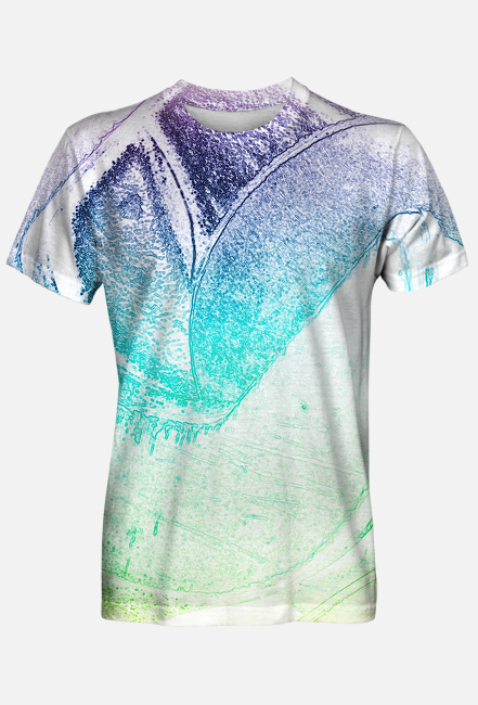 Koszulka męska full print ukryty klucz