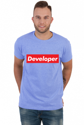 Developer