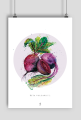 Buraki | Plakat A1