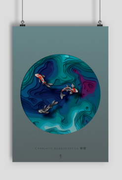 Karpie Koi | Plakat A2