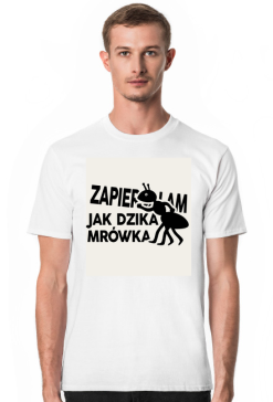 Mrówka