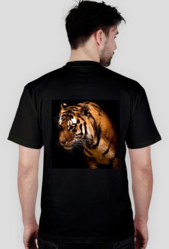 #roar i tygrys