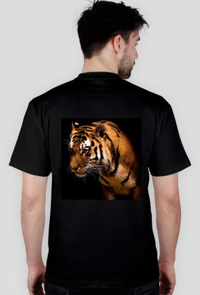 #roar i tygrys