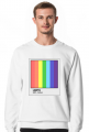 Pantone LGBTQ Human Pride Rainbow Tęcza Colors