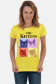 Koszulka damska T-shirt THE KITTENS