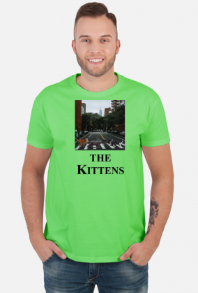 Koszulka męska bawełniana THE KITTENS ABBEY ROAD