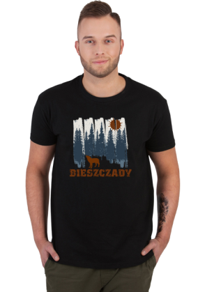 Bieszczady
