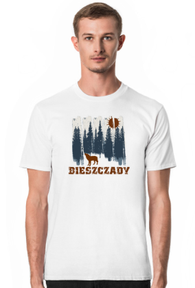 Bieszczady