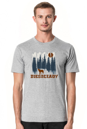 Bieszczady