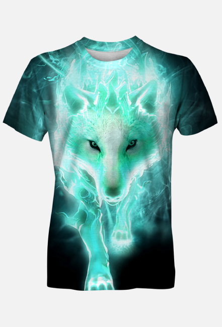 (LIMITED) Koszulka męska