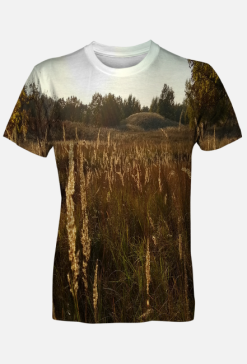 Fields of gold M