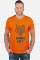 T-shirt męski Samiec Alfa