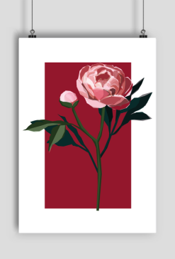 peonia