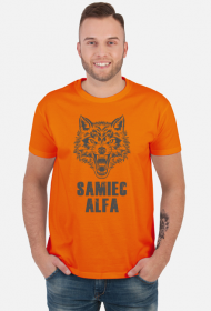Samiec alfa różne kolory