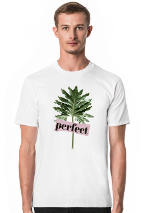 Perfect