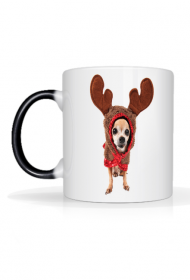 Kubek świąteczny, pupil