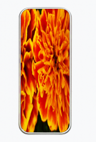 Metalowe pudełko-piórnik