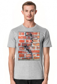 Crack in the wall