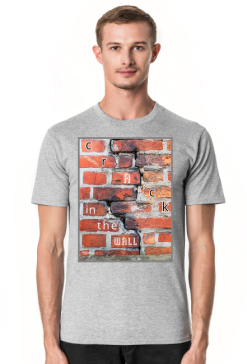 Crack in the wall