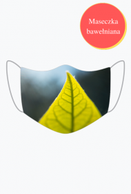 Maseczka z liściem avocado