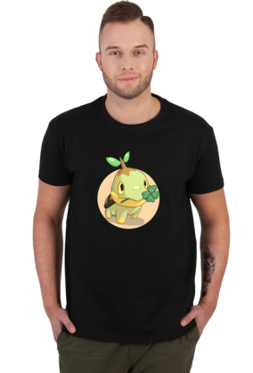 Pokemon Turtwig