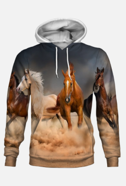 Bluza