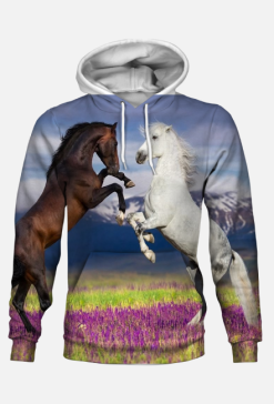 Bluza