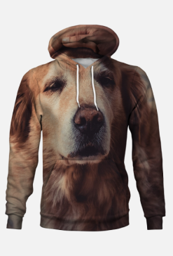 Bluza