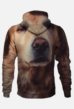 Bluza