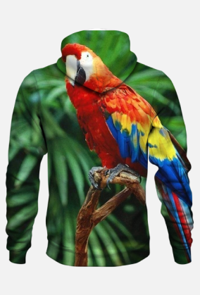 Bluza