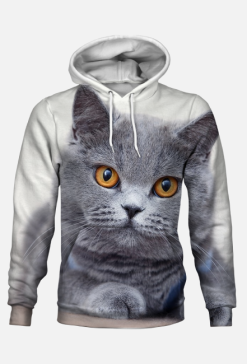 Bluza