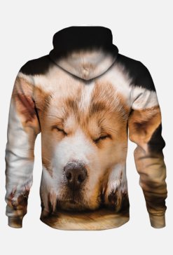 Bluza